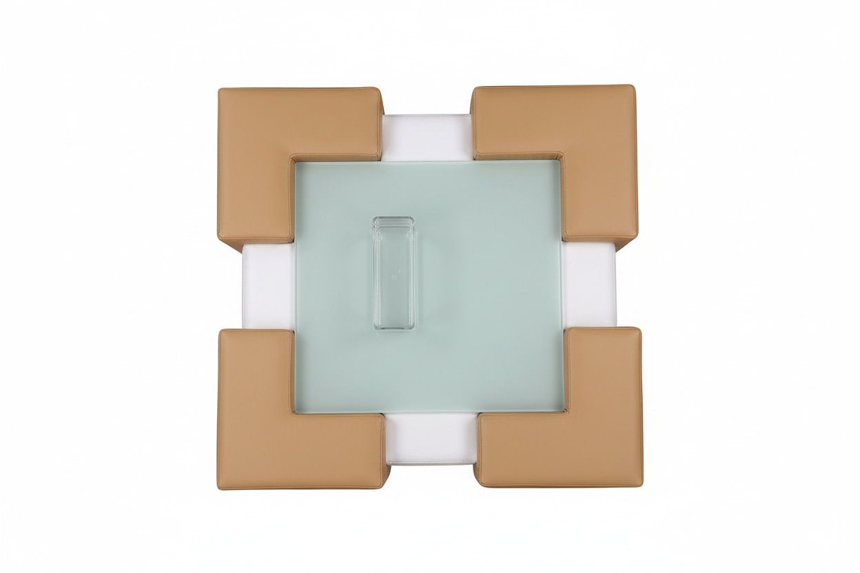 Neptune Coffee Table 俯视图